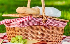 Все для пикника